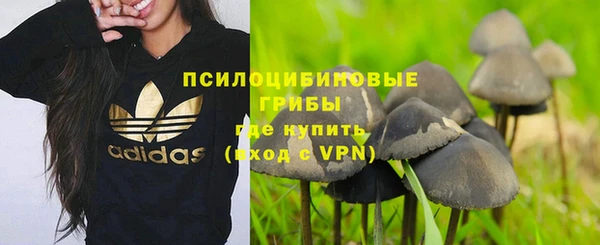 соль ск Алзамай