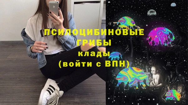 соль ск Алзамай