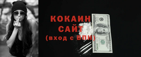 соль ск Алзамай