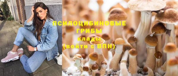 соль ск Алзамай