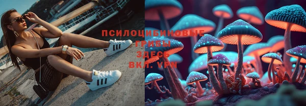 ALPHA PVP Алексин