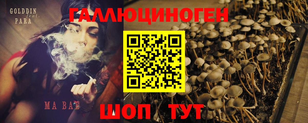 Псилоцибиновые грибы прущие грибы Бахчисарай