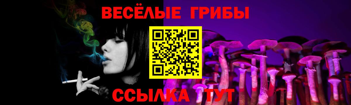 сколько стоит  Вход с VPN  Бахчисарай  Псилоцибиновые грибы Cubensis 